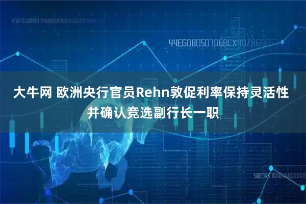 大牛网 欧洲央行官员Rehn敦促利率保持灵活性 并确认竞选副行长一职
