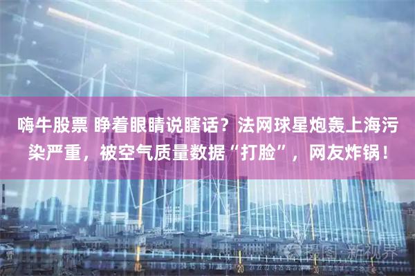 嗨牛股票 睁着眼睛说瞎话？法网球星炮轰上海污染严重，被空气质量数据“打脸”，网友炸锅！